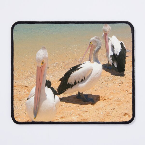 Item preview, Pelican Posers designed and sold by Nicola Morgan.