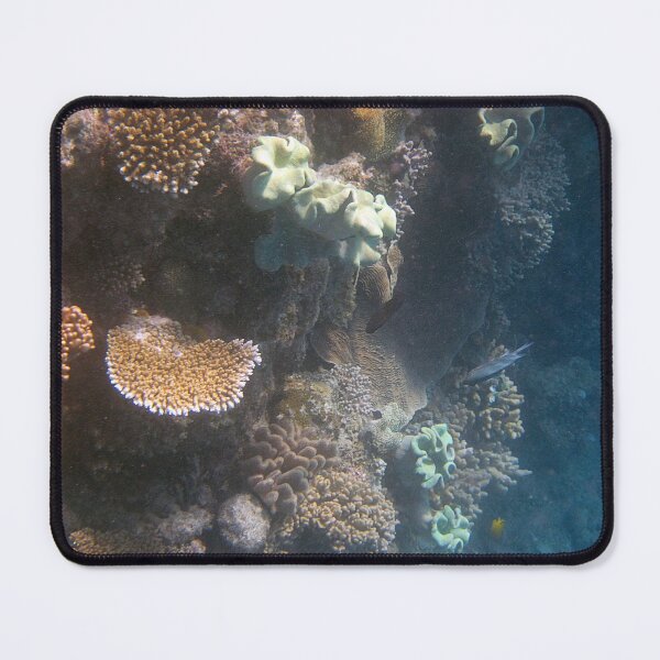 Aperçu de l'œuvre Récif de corail créée et vendue par SquirrelWatcher.