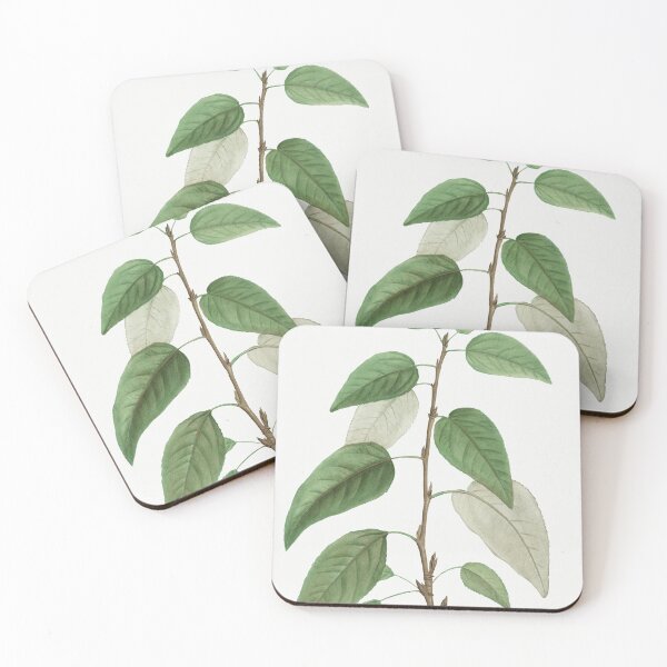 Item preview, Balsam Poplar, By Pierre-Joseph Redouté designed and sold by Yeldiz.