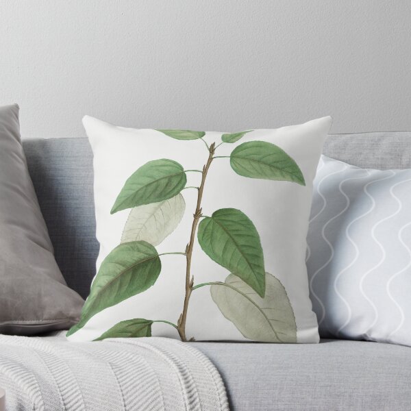Item preview, Balsam Poplar, By Pierre-Joseph Redouté designed and sold by Yeldiz.
