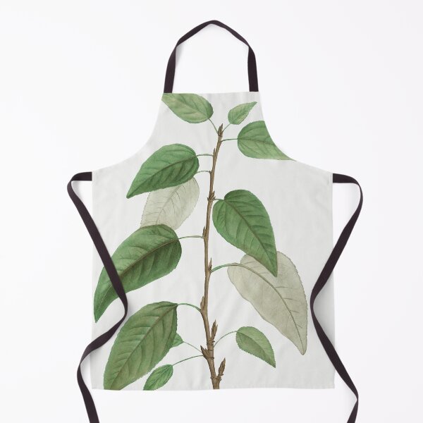 Item preview, Balsam Poplar, By Pierre-Joseph Redouté designed and sold by Yeldiz.