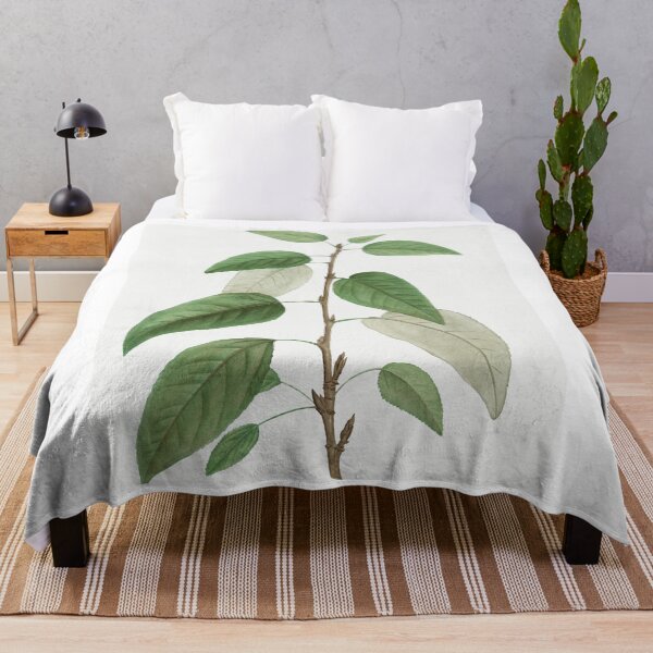 Item preview, Balsam Poplar, By Pierre-Joseph Redouté designed and sold by Yeldiz.