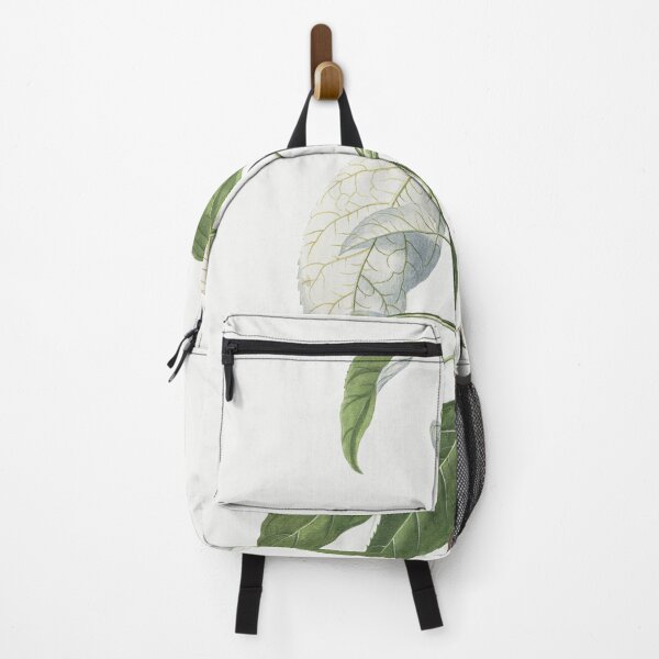 Item preview, Plantae Selectae, Tacamahaca, Balsam Poplar, By Georg Dionysius Ehret designed and sold by Yeldiz.