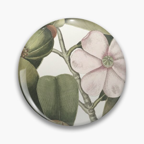 Item preview, Balsam Tree, By Mark Catesby designed and sold by Yeldiz.