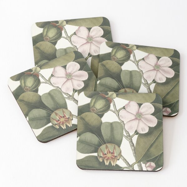 Item preview, Balsam Tree, By Mark Catesby designed and sold by Yeldiz.