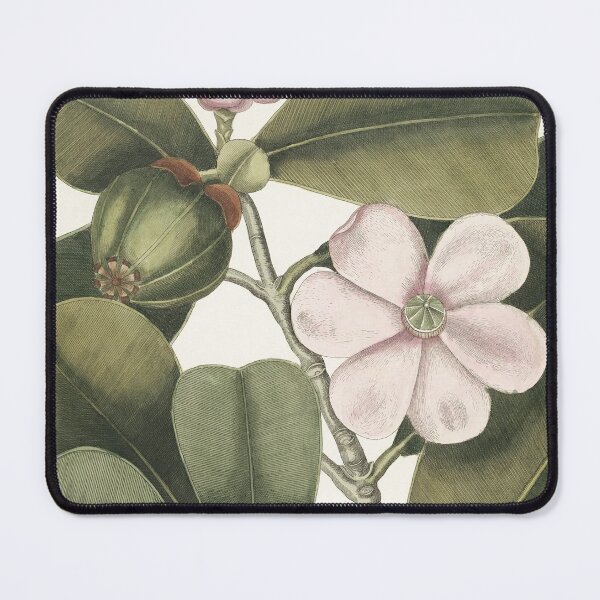 Item preview, Balsam Tree, By Mark Catesby designed and sold by Yeldiz.