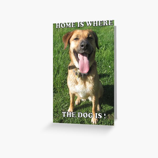 Home is where the dog is Greeting Card