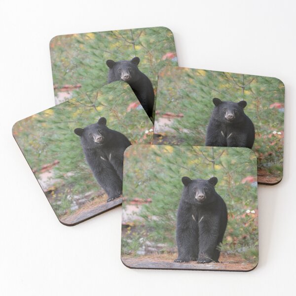 Item preview, Black Bear designed and sold by mlorenz.