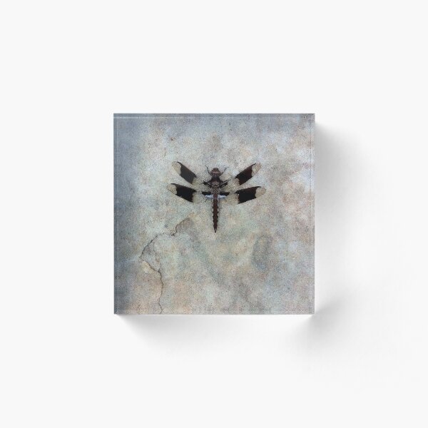 Dragonfly Acrylic Block
