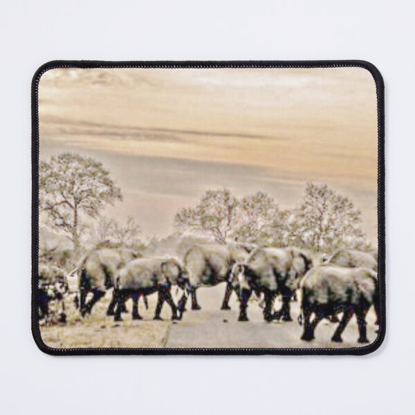 Item preview, ELEPHANTS ELEPHANTS designed and sold by THE AMERICAN TEEVANGELIST.