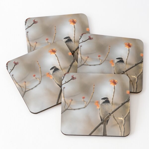Item preview, Chickadee designed and sold by photodunnright.