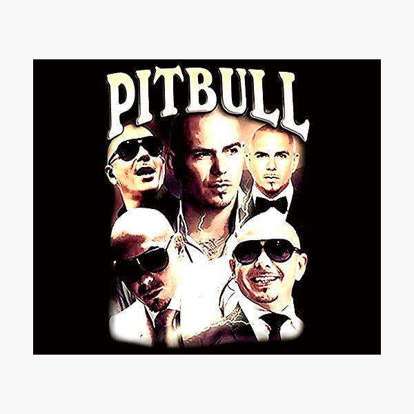 Pitbull Rapper Achtergrond Download Singer And Rapper, Pitbull,