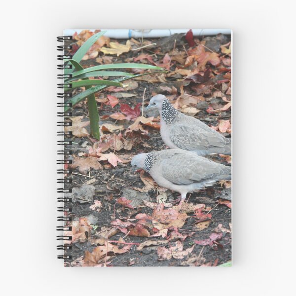 Item preview, Doves designed and sold by glenlea.