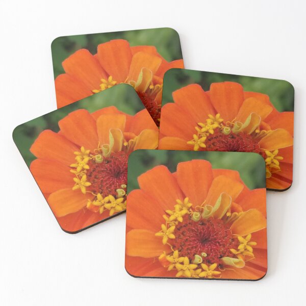 Item preview, Orange Flower Photograph designed and sold by LaLaTextiles.