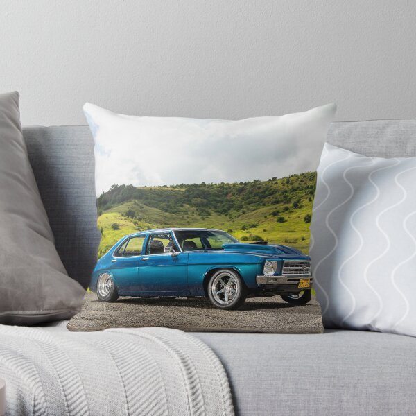 Throw Pillow
