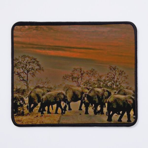 Item preview,  ELEPHANTS ELEPHANTS designed and sold by THE AMERICAN TEEVANGELIST.