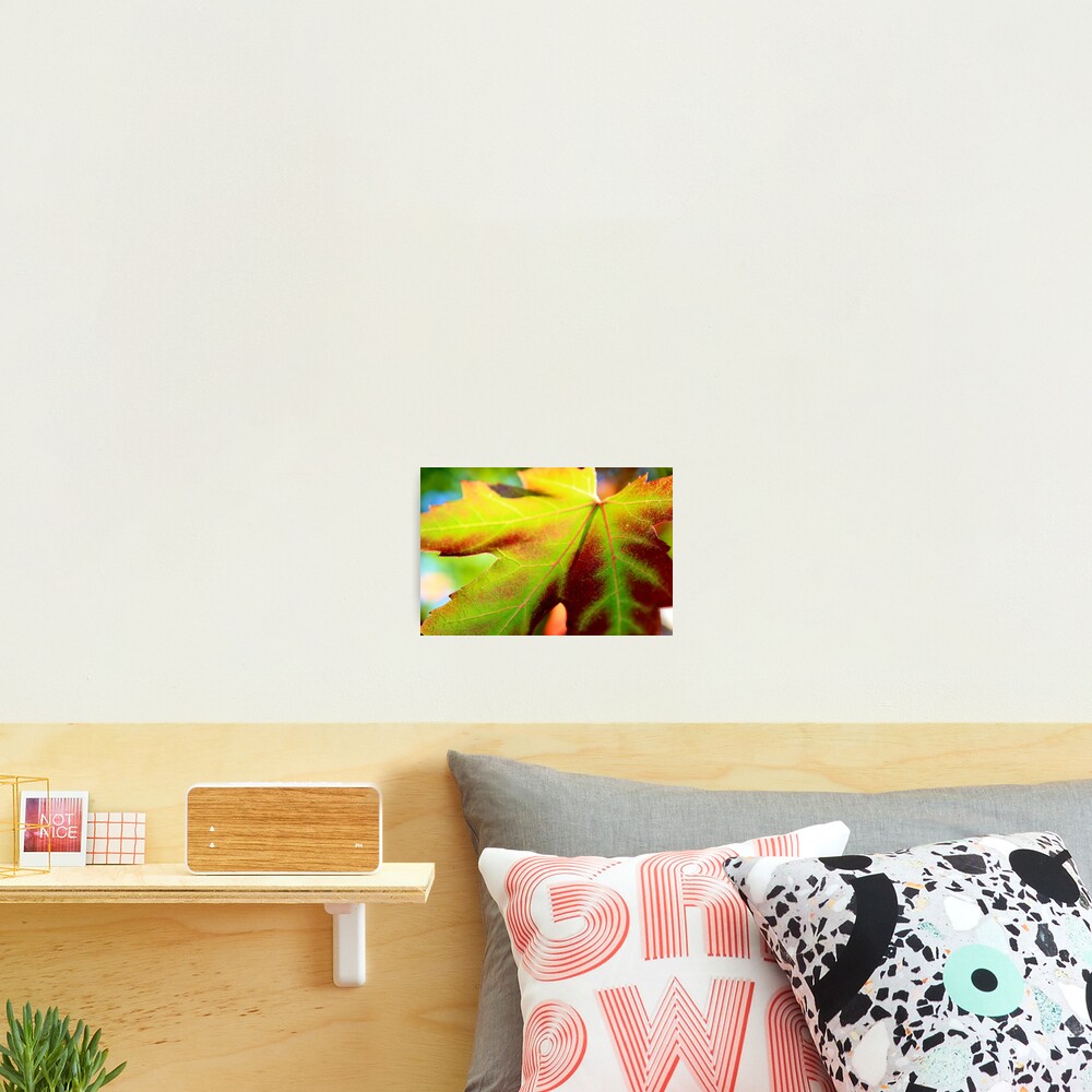 Item preview, Photographic Print designed and sold by KatiesCorner.