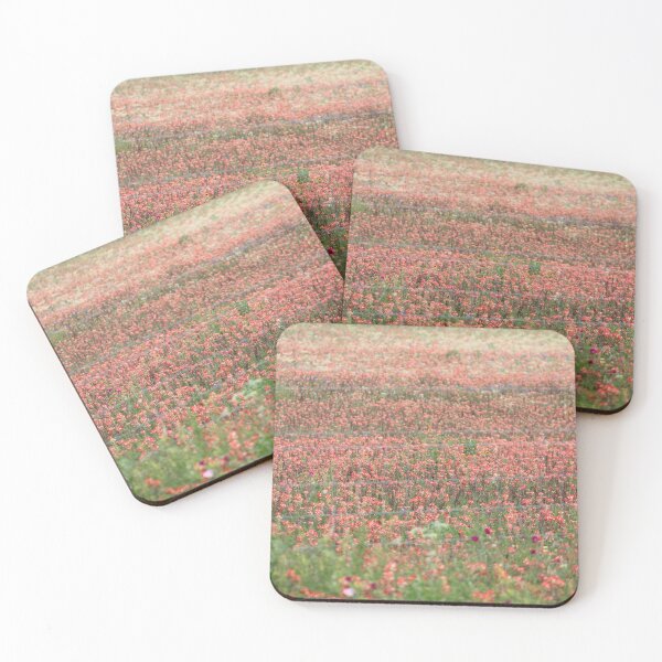 Item preview, Indian Paintbrushes designed and sold by EyeforBeauty58.