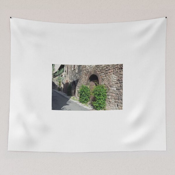 Item preview, Stone buildings in Assisi with green plants designed and sold by oanaunciuleanu.