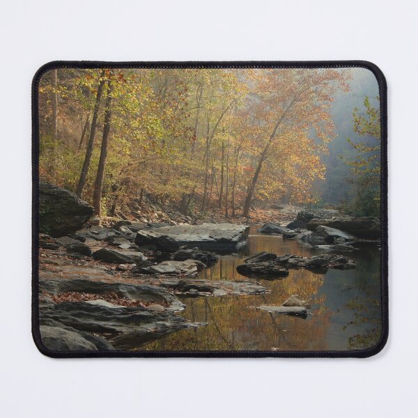 Item preview, non skimming stones designed and sold by dc witmer.