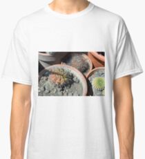 Cacti in flower pots Classic T-Shirt