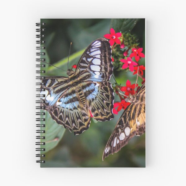 Item preview, Clipper Butterflies designed and sold by Marie  Cardona.