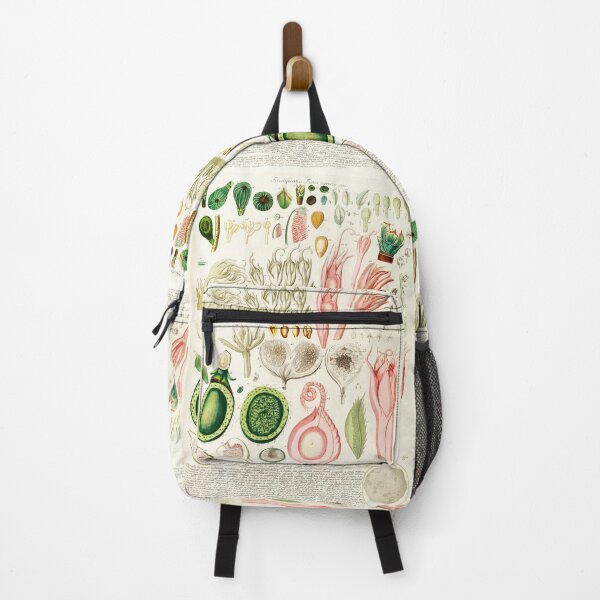 Item preview, A fig dissection - Botanical Illustration designed and sold by chimakingthings.