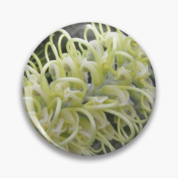 Item preview, Grevillea "Moonlight" designed and sold by Trish Meyer.