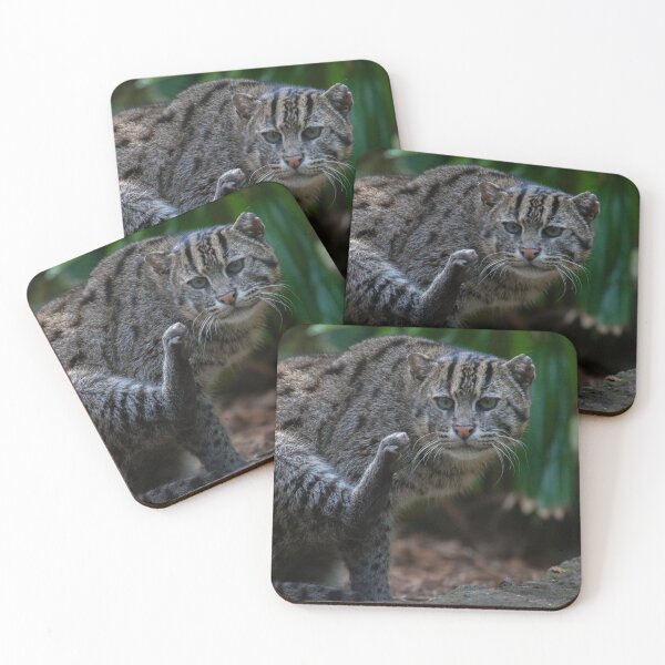 Item preview, Fishing Cat designed and sold by TVD-Photography.