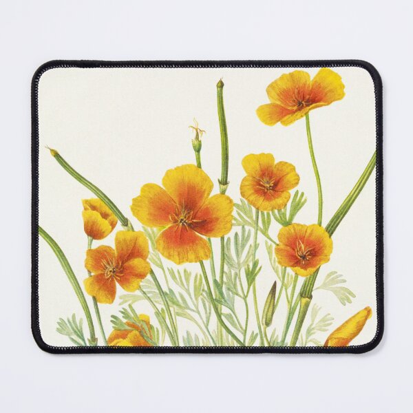 Item preview, Mexican Gold Poppy - Botanical Illustration designed and sold by chimakingthings.