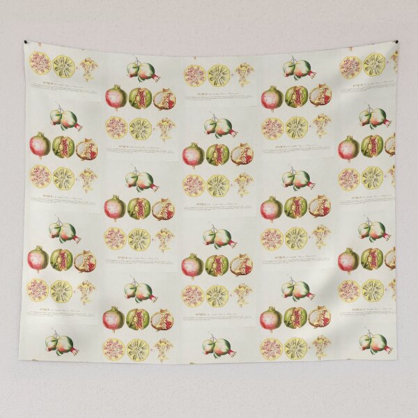 Item preview, Anatomy of a pomegranate - Botanical Illustration designed and sold by chimakingthings.