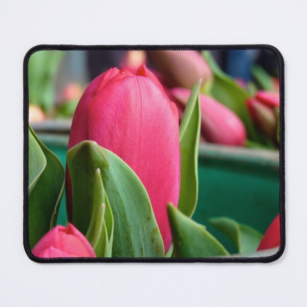 Item preview, Beautiful red tulip designed and sold by SvetlanaSF.