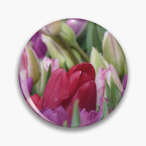 Artikelvorschau, Multi-colored Tulips entworfen und verkauft von SvetlanaSF.
