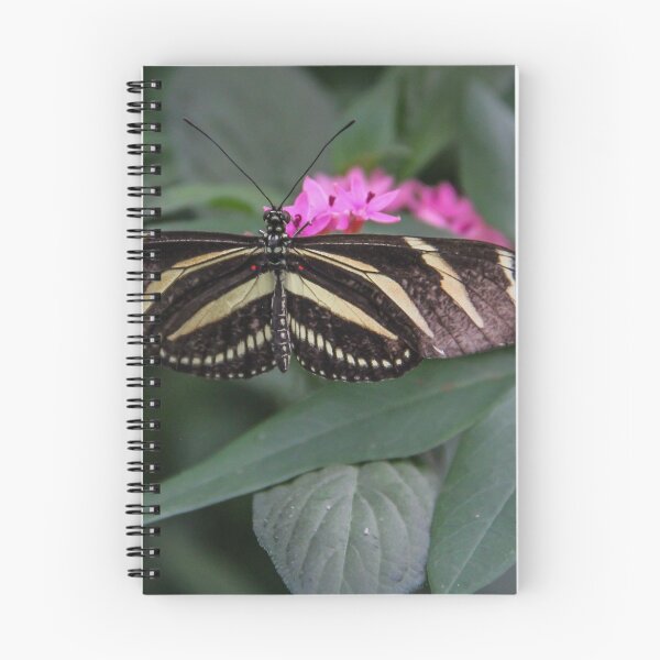 Item preview, The Longwing and the Flower designed and sold by Marie  Cardona.