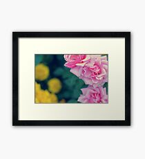 Three-coloured Framed Print