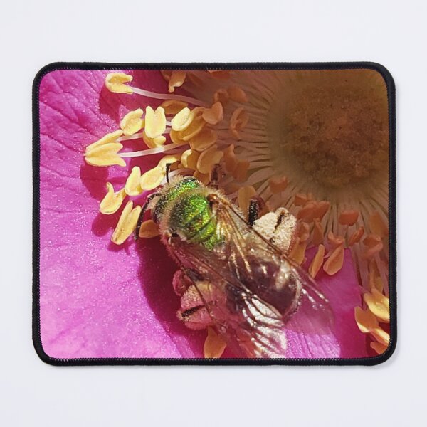 Item preview, Green Bee designed and sold by mleedreams.