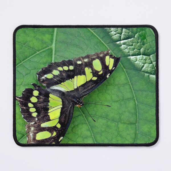 Item preview, Butterfly on Leaf designed and sold by BackgroundPixel.