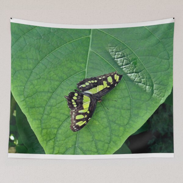 Item preview, Butterfly on Leaf designed and sold by BackgroundPixel.