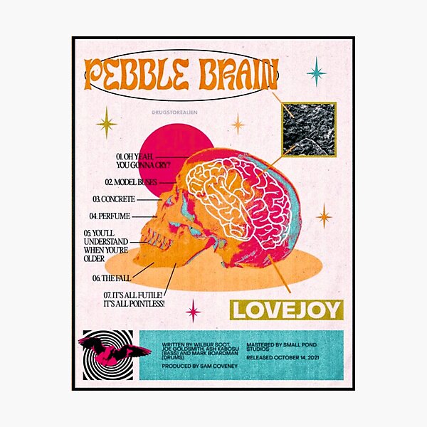 pebble brain - lovejoy Poster Photographic Print
