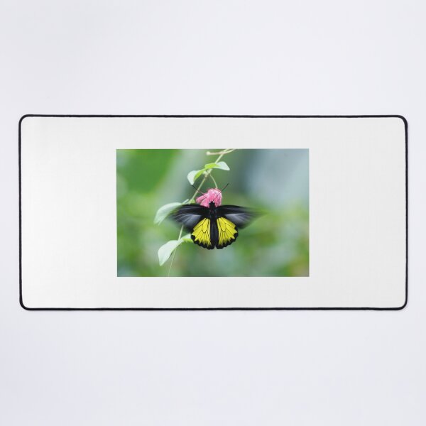 Item preview, Fluttering Beauty designed and sold by EyeforBeauty58.