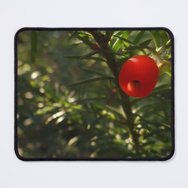 Item preview, Red Berry on Green Branch designed and sold by BackgroundPixel.