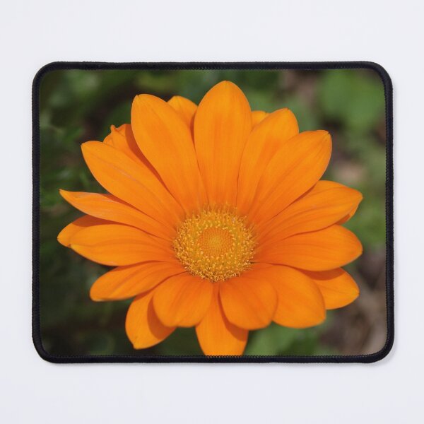 Item preview, Bursting Orange designed and sold by EyeforBeauty58.