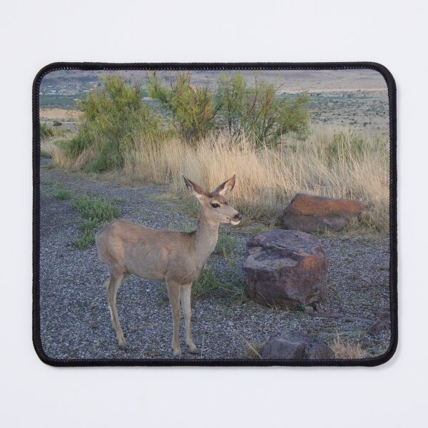 Item preview, Davis Mountain Deer designed and sold by EyeforBeauty58.