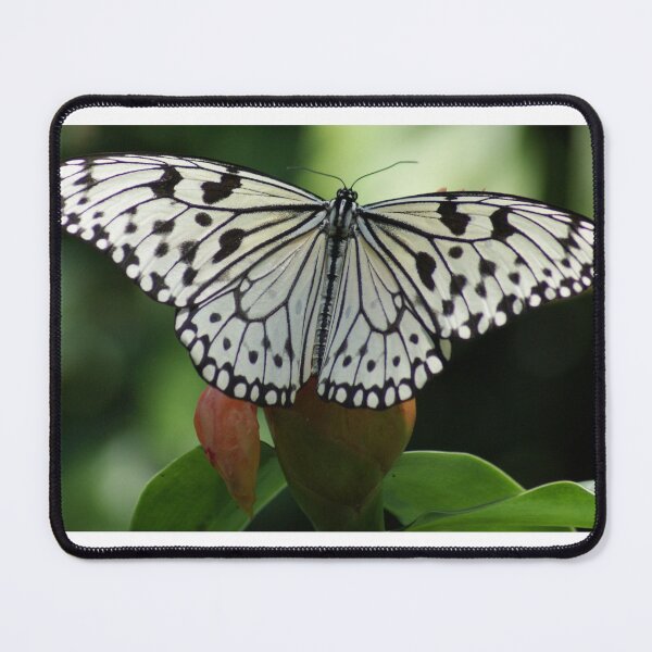 Item preview, Rice Paper Butterfly designed and sold by EyeforBeauty58.