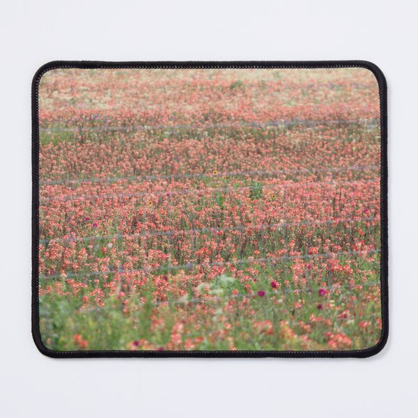 Item preview, Indian Paintbrushes designed and sold by EyeforBeauty58.