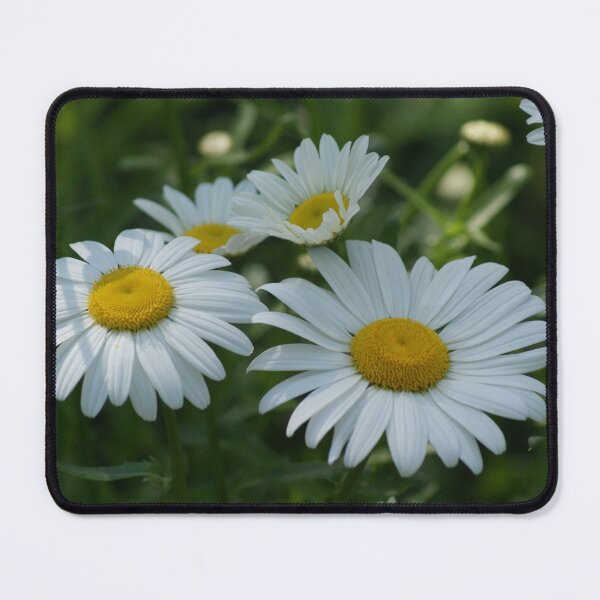 Item preview, Dashing Daisies designed and sold by EyeforBeauty58.