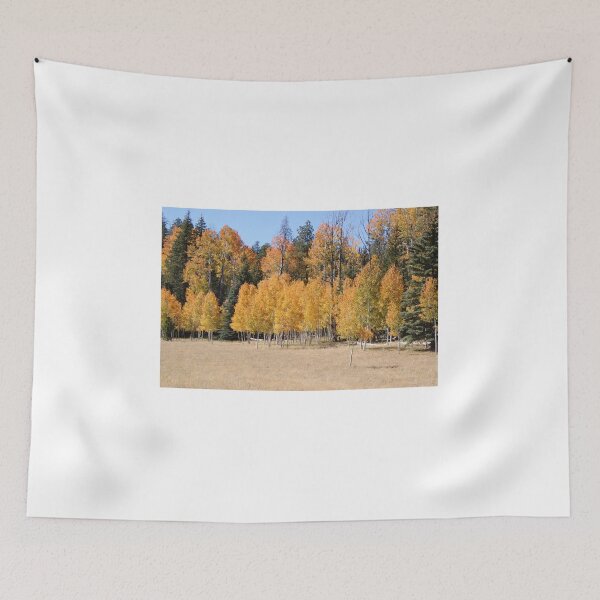 Item preview, Aspen Trees in Fall designed and sold by EyeforBeauty58.