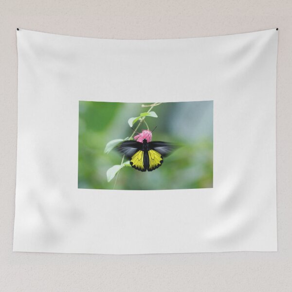 Item preview, Fluttering Beauty designed and sold by EyeforBeauty58.