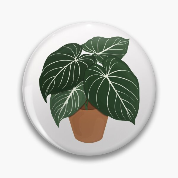 Item preview, Philodendron Gloriosum / Houseplant  designed and sold by WithAhava.