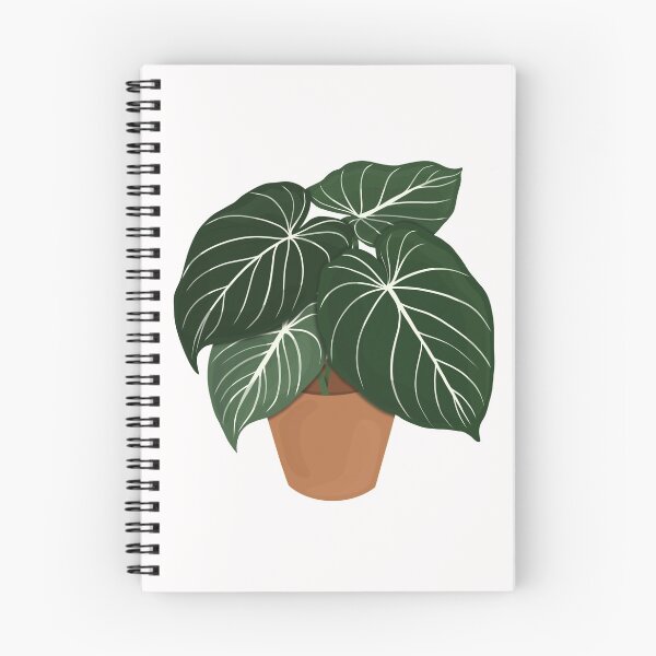 Item preview, Philodendron Gloriosum / Houseplant  designed and sold by WithAhava.